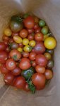 20200917_162946.jpg