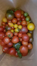 20200917_162946.webp