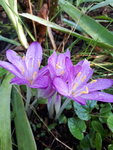 20200912_171839.jpg