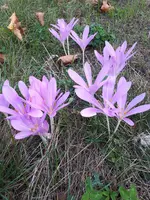 20200912_171927.webp