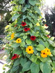20200913_104900.jpg