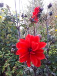 20200917_182318.jpg