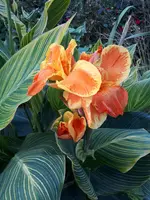 20200917_182253.webp