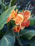 20200917_182253.jpg