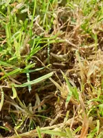 IMG-20200918-WA0001.webp