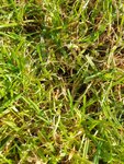 IMG-20200918-WA0011.jpg