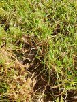 IMG-20200918-WA0013.jpg