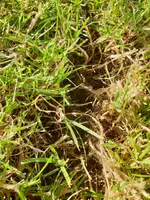 IMG-20200918-WA0012.webp