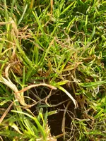 IMG-20200918-WA0006.webp