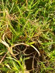 IMG-20200918-WA0006.jpg