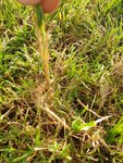 IMG-20200918-WA0016.jpg