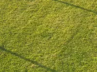 IMG-20200918-WA0005.webp