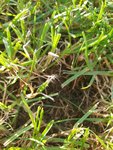 IMG-20200918-WA0015.jpg