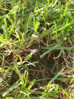 IMG-20200918-WA0015.webp