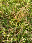 IMG-20200918-WA0003.jpg