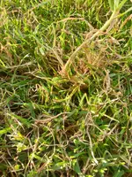 IMG-20200918-WA0003.webp