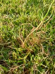 IMG-20200918-WA0009.jpg