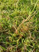 IMG-20200918-WA0009.webp