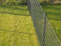 IMG-20200918-WA0007.webp