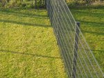 IMG-20200918-WA0007.jpg