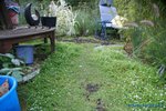 comp_DSC09388.jpg