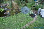 comp_DSC09389.jpg