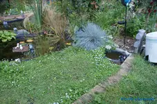 comp_DSC09389.webp