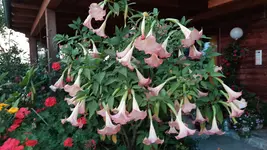 20200916_191528.webp