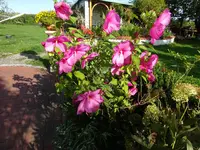 DSC01275.JPG