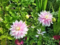 IMG_20200910_130029_2.jpg