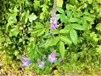 IMG_20200916_133725_1.webp