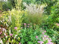 DSCF4149 (2).webp