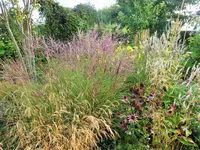 DSCF4150 (2).webp