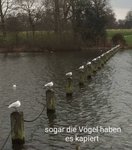 Abstand.jpg