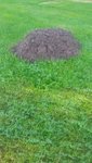 20200918_150511.jpg