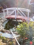 IMG-20200917-WA0006.jpg