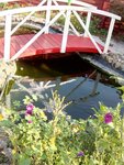 IMG-20200917-WA0004.jpg