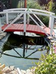IMG-20200917-WA0003.jpg