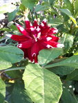 20200920_163312.jpg