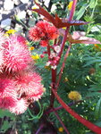 20200920_163343.jpg