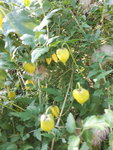 20200920_160706.jpg