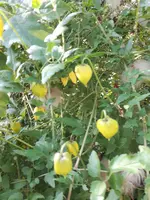 20200920_160706.webp