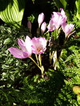 20200920_163812.jpg