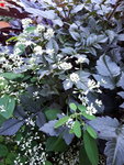 20200920_163715.jpg
