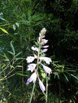 20200920_171959.jpg