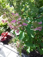 20200920_131139.webp