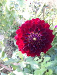 20200920_163606.jpg