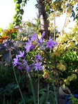 20200920_161114.jpg