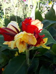 20200920_163129.jpg