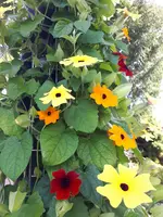 20200920_125417.webp
